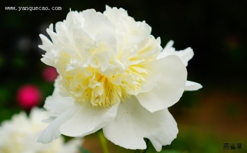 Toàn cảnh Hội nghị